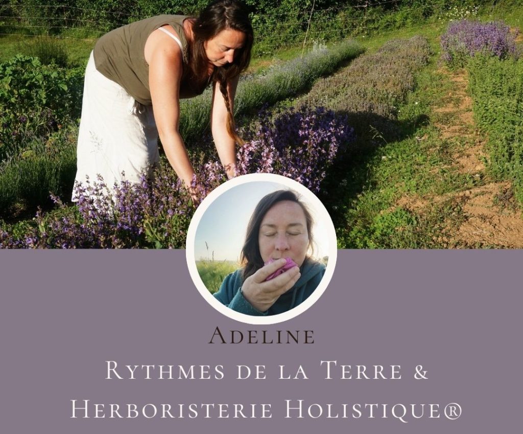 FORMATION HERBORISTERIE OCCITANIE TOULOUSE